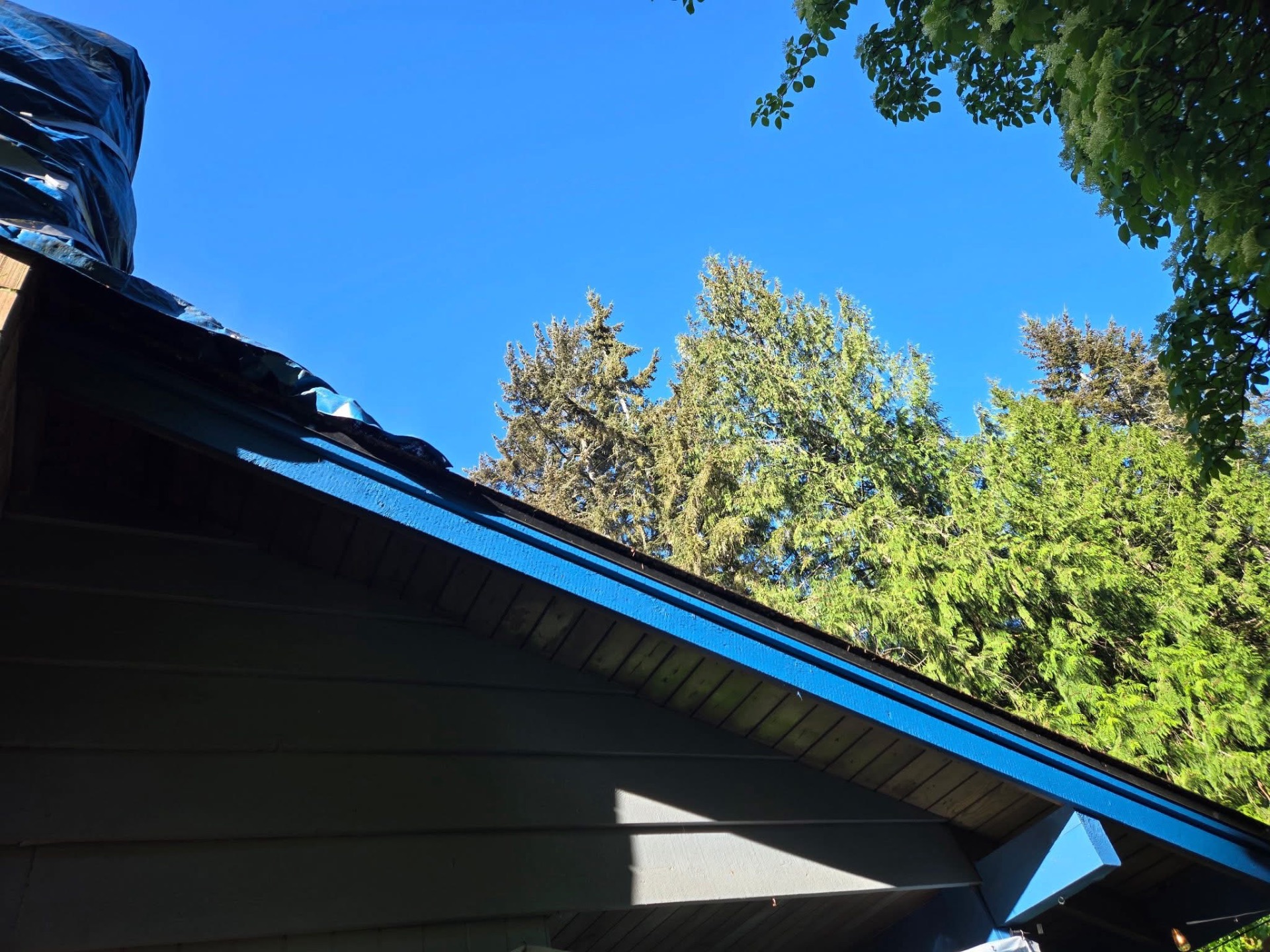 Close-up of crisp blue painted fascia and trim against a clear sky
