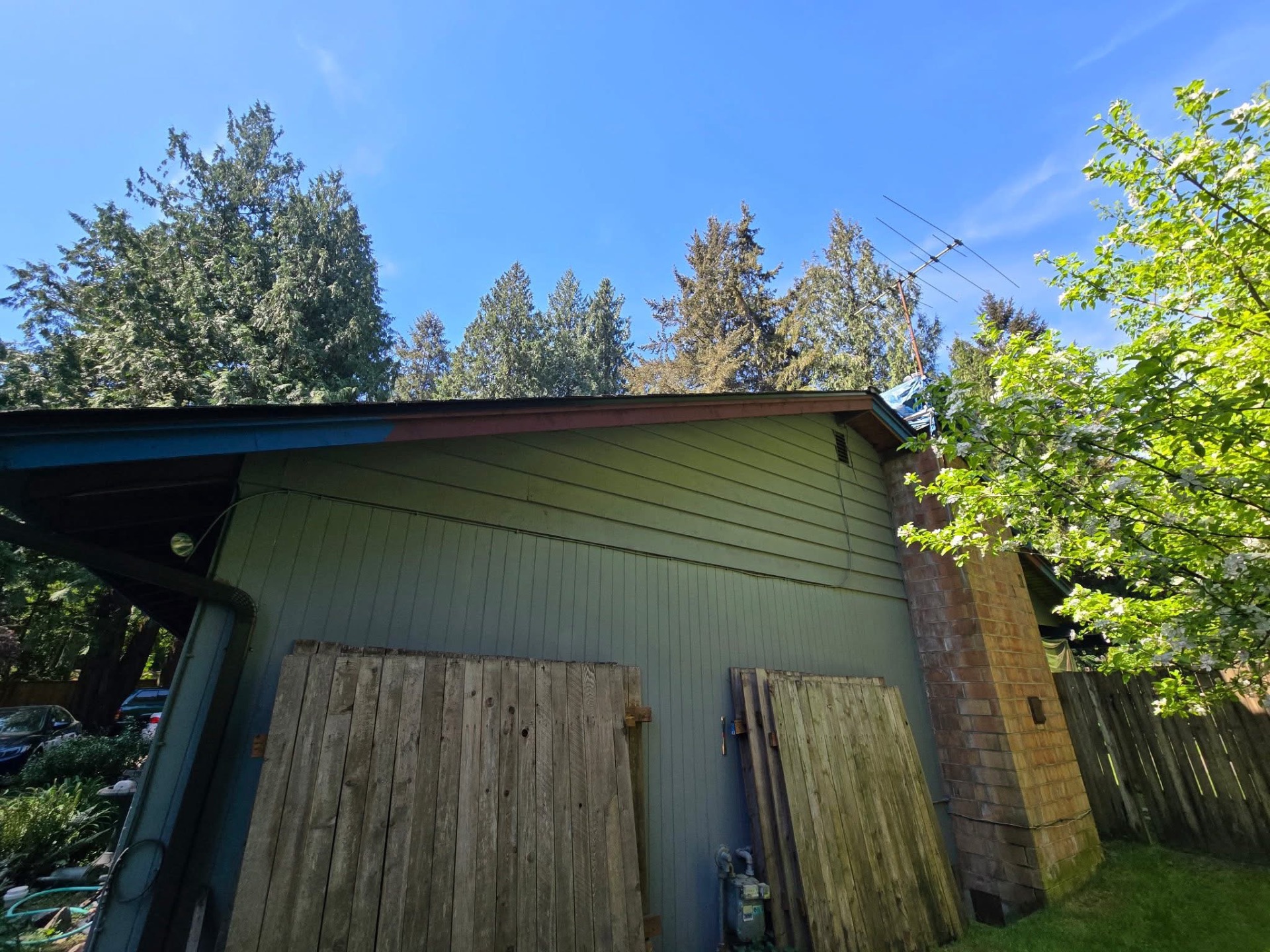 Exterior painting project on a home with green-gray siding